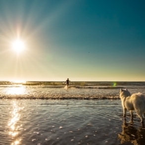 Moxie and me on the beach!